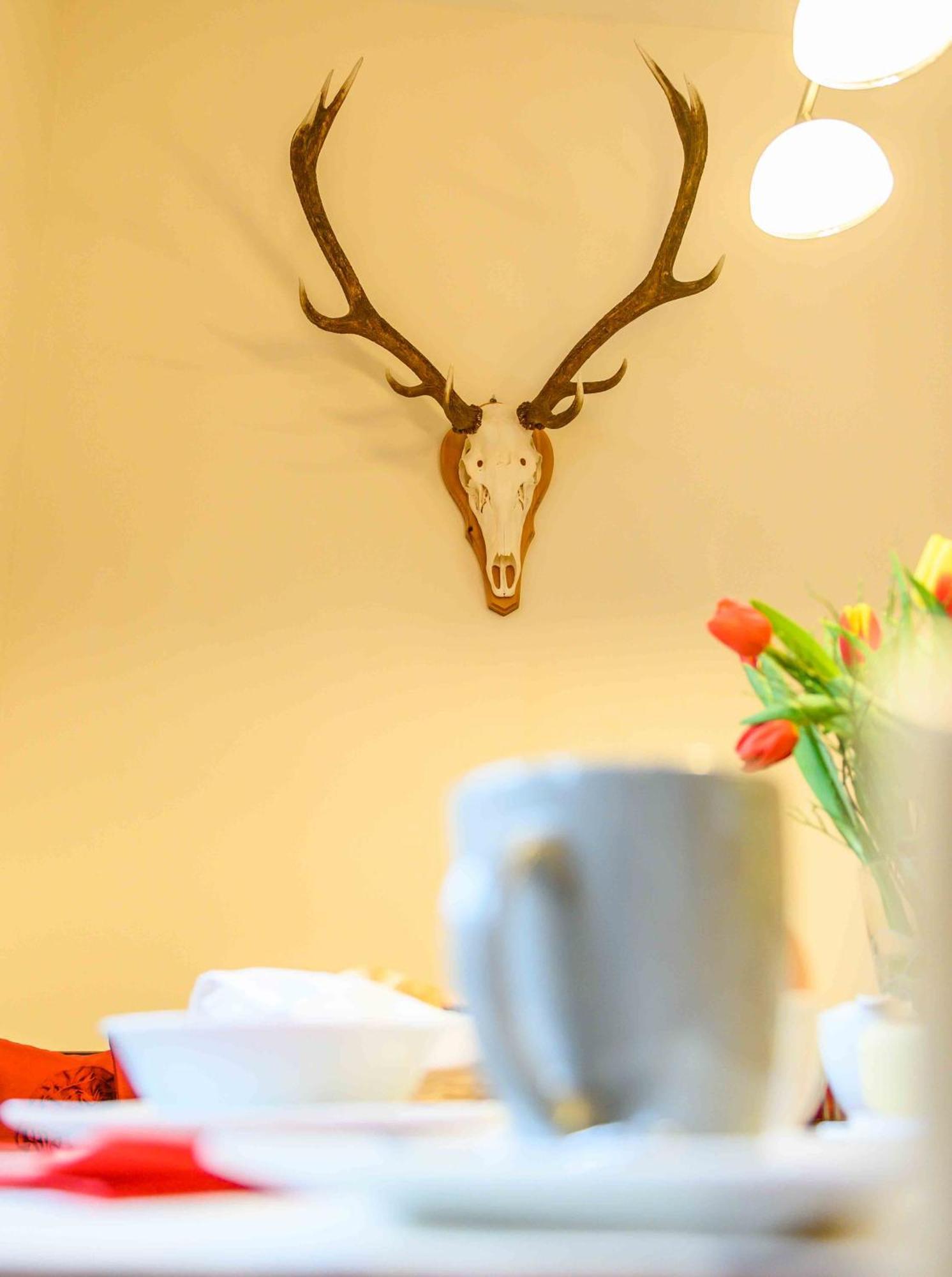 Appartement Waldhof 플래타취 외부 사진