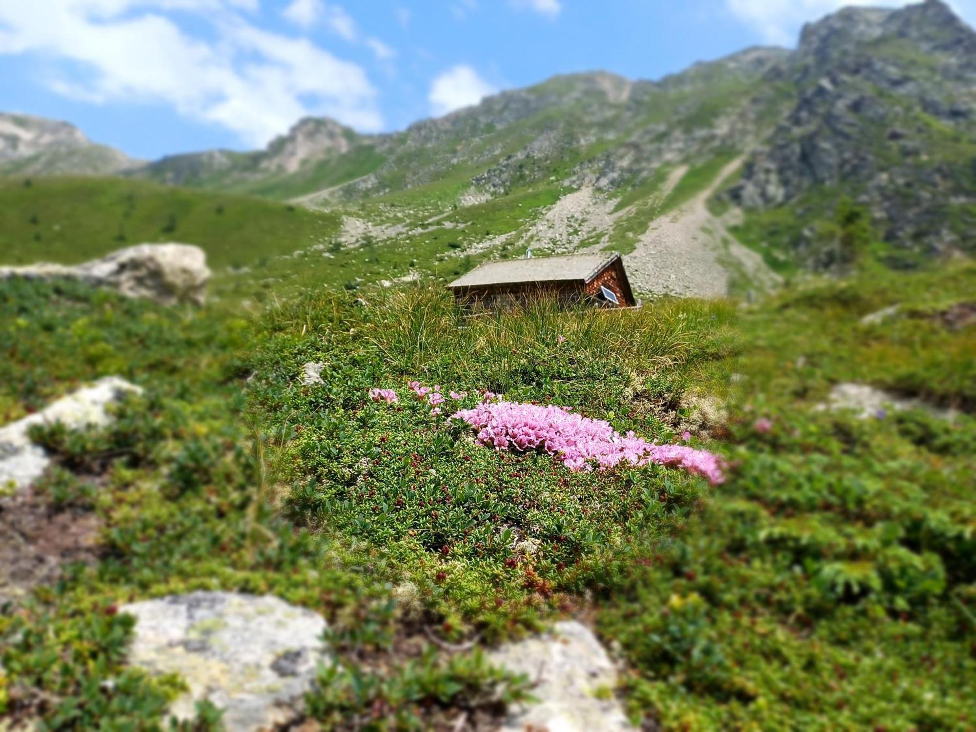 Appartement Waldhof 플래타취 외부 사진