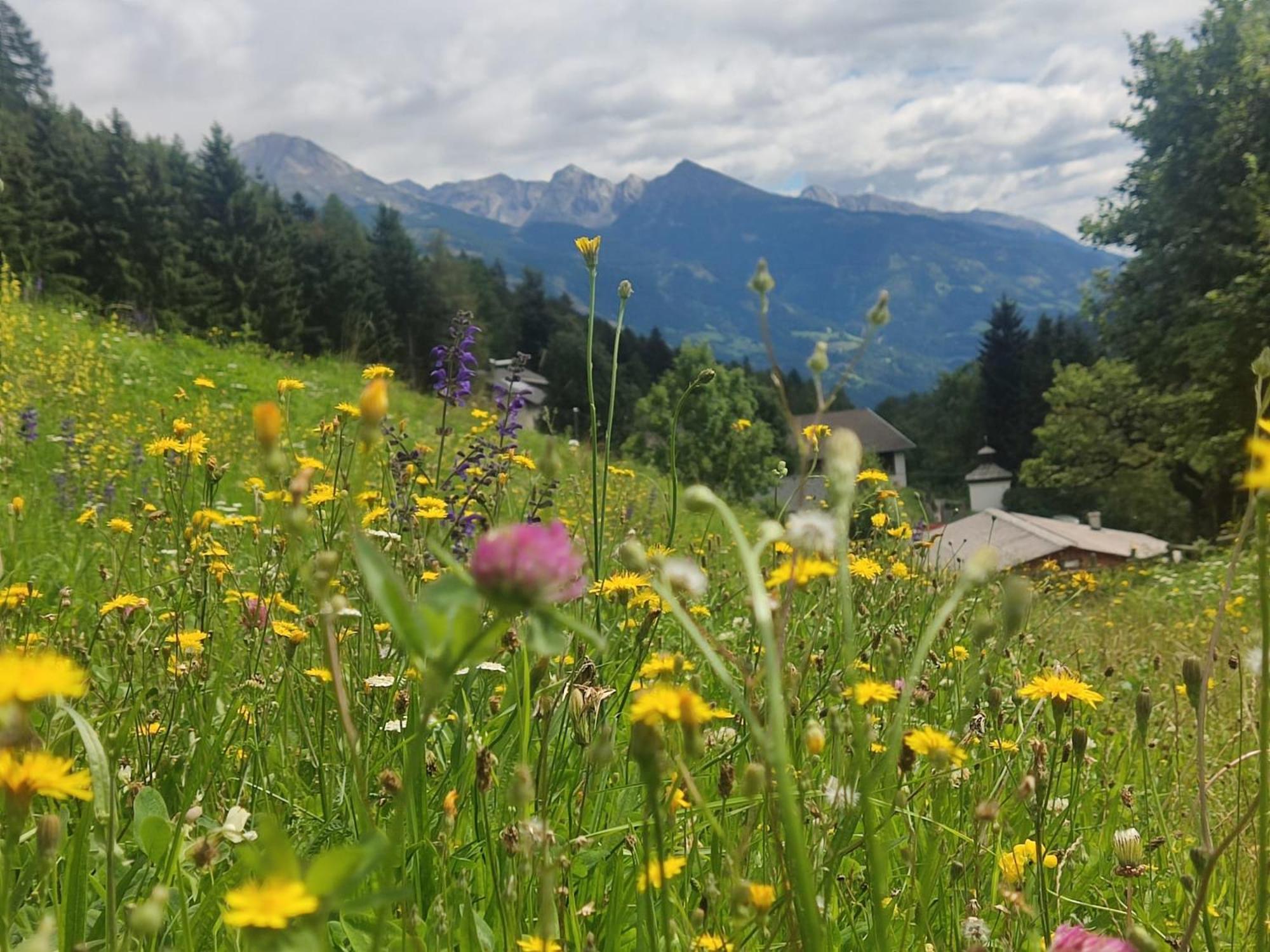 Appartement Waldhof 플래타취 외부 사진
