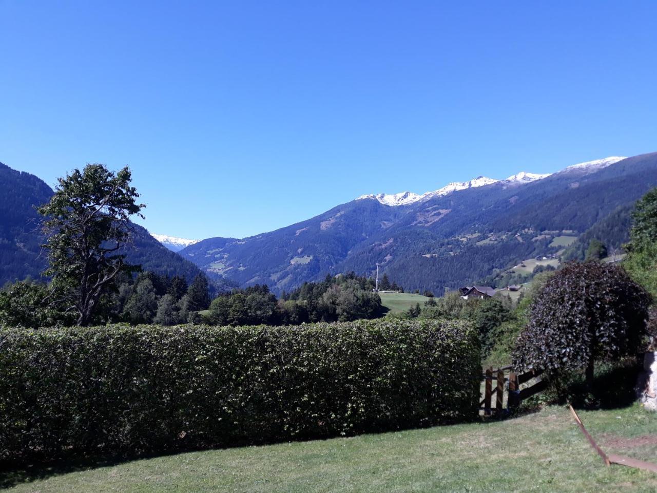 Appartement Waldhof 플래타취 외부 사진